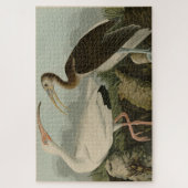 Puzzle Ibis blanc - Les oiseaux d'Amérique de John James (Vertical)