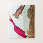 Puzzle Ibis de Scarlet par John James Audubon (Vertical)
