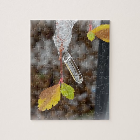 Puzzle Icicule sur la feuille (Vertical)