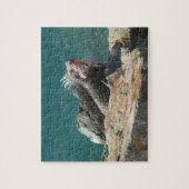 Puzzle Iguana à St Thomas (Vertical)