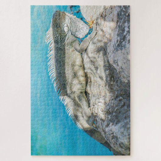 Puzzle Iguana bronzer sur Beach Rock (Vertical)