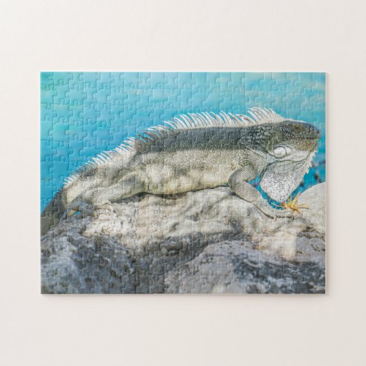Puzzle Iguana bronzer sur Beach Rock (Horizontal)