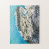 Puzzle Iguana bronzer sur Beach Rock (Vertical)