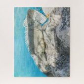 Puzzle Iguana bronzer sur Beach Rock (Vertical)