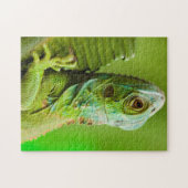 Puzzle Iguana dans le désert (Horizontal)