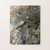 Puzzle Iguana Posing sur Rock pour la caméra (Vertical)