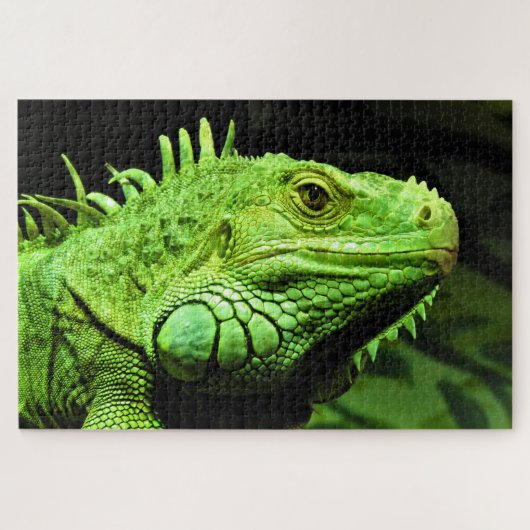 Puzzle Iguana verte (Horizontal)