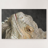 Puzzle iguane (Horizontal)