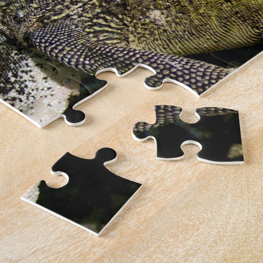 Puzzle Iguane, Curaçao, îles des Caraïbes, photo (Côté)