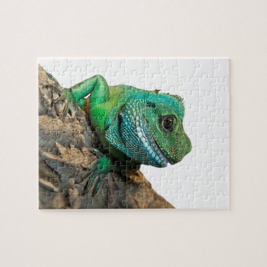 Puzzle Iguane vert (Horizontal)