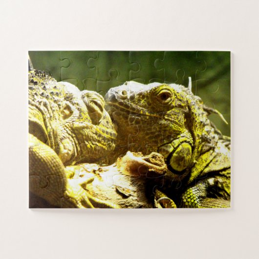 Puzzle Iguanes (Horizontal)