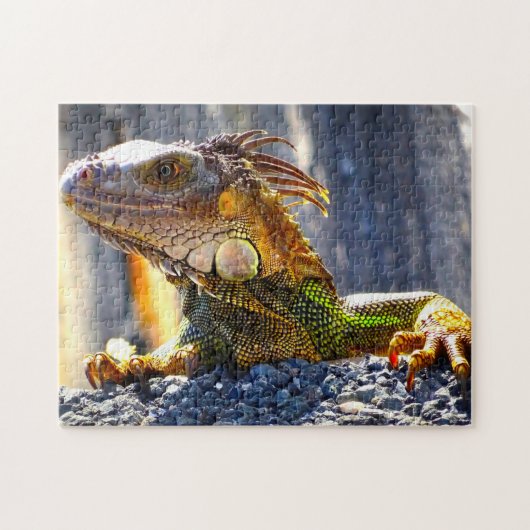 Puzzle Iguanes en Floride (Horizontal)