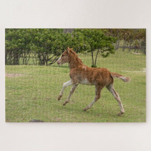 Puzzle Île de Pâques alias Rapa Nui (Horizontal)