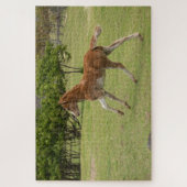 Puzzle Île de Pâques alias Rapa Nui (Vertical)