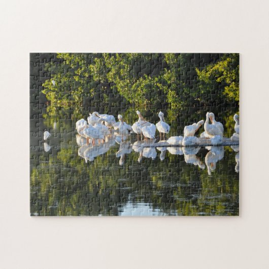 Puzzle Île de Sanibel Floride. (Horizontal)