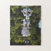 Puzzle Île de Sanibel Floride. (Vertical)