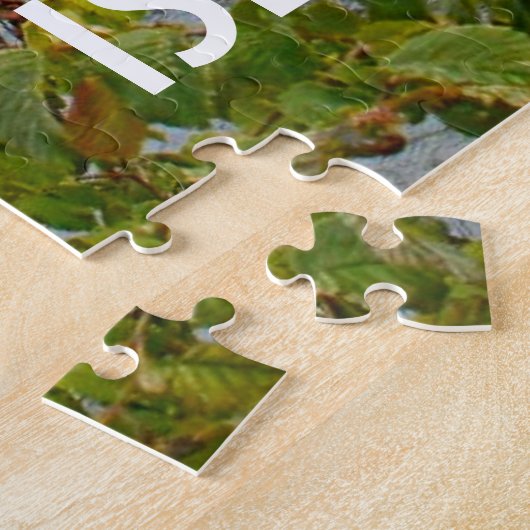 Puzzle Île de Skye : Portree, Écosse (Côté)