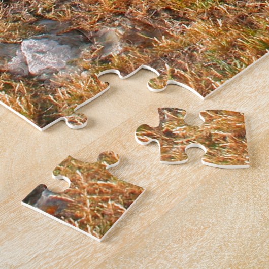 Puzzle Île King : Baie balayée par le vent, Tasmanie, Aus (Côté)