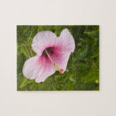 Puzzle Îles Cook, Atiu. Fleur d'Hibiscus. (Horizontal)