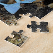 Puzzle Îles Galapagos, île Isabela (Côté)