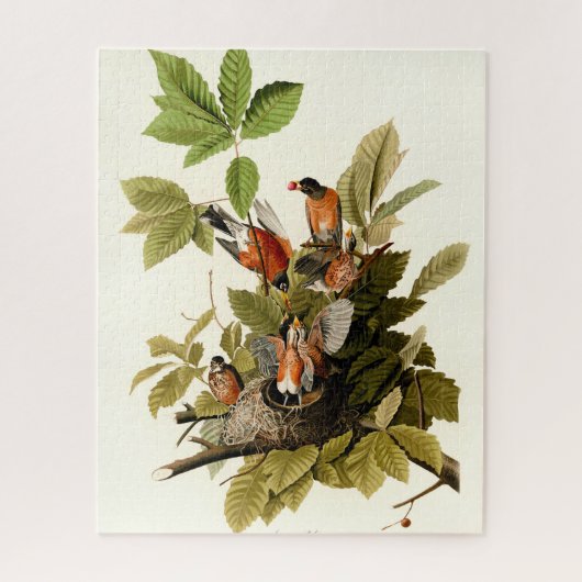 Puzzle Illustration Audubon American Robin Wildlife Bird (Vertical)