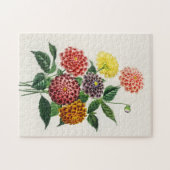Puzzle Illustration botanique vintage Dahlias 250 pièces (Horizontal)
