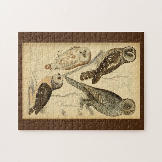 Puzzle Illustration Chouettes (Horizontal)