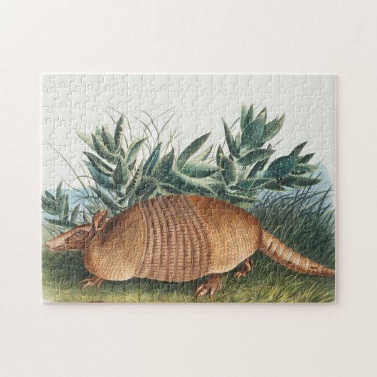 Puzzle Illustration d'Armadillo Vintage (Horizontal)