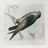 Puzzle Illustration de Faucon à pattes rouges Impression  (Horizontal)