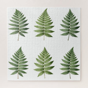 Puzzle Illustration de feuilles de fougère botanique vint