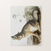Puzzle Illustration de Fox (Vulpes velox) (Vertical)