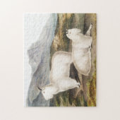 Puzzle Illustration de la chèvre des Rocheuses (Capra Ame (Vertical)
