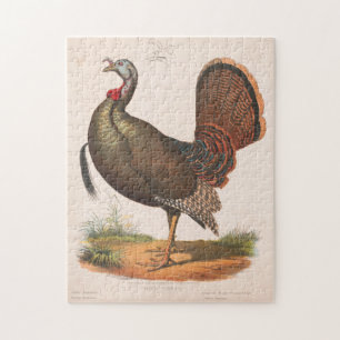 Puzzle Illustration de la Turquie sauvage Vintage (1872)