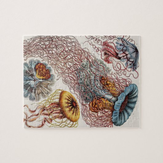 Puzzle Illustration de la vie marine - Ernst Haeckel (Horizontal)