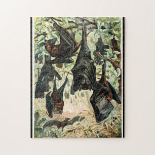 Puzzle illustration de l'acadamia de chauve-souris volant