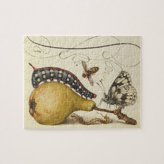 Puzzle Illustration de l'insecte du fruit du papillon (Horizontal)