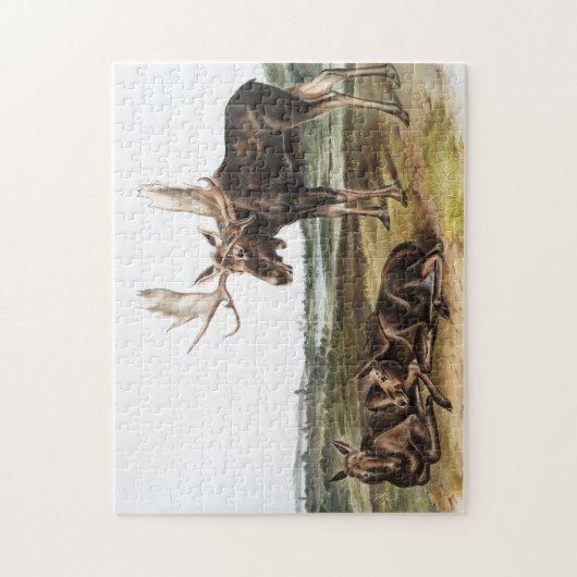 Puzzle Illustration de Moose Deer (Servus alces) (Vertical)