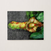 Puzzle Illustration de Nepenthes, Pitcher Plante (Horizontal)