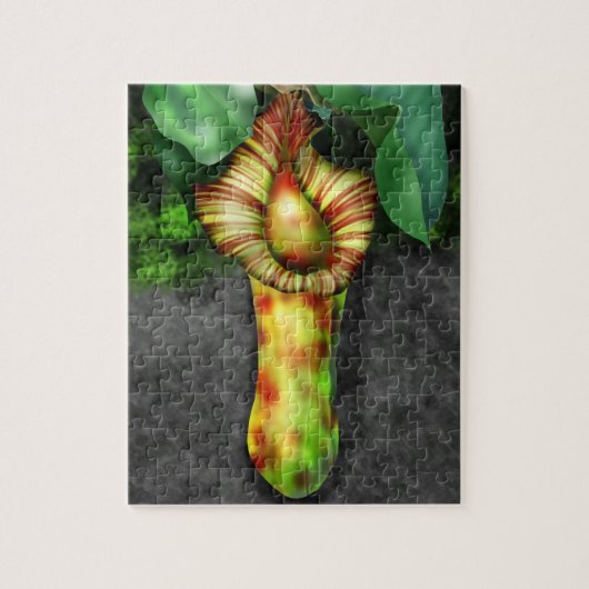 Puzzle Illustration de Nepenthes, Pitcher Plante (Vertical)
