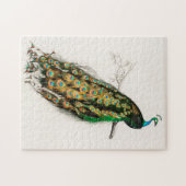 Puzzle Illustration de paon Impression d'art vintage (Horizontal)