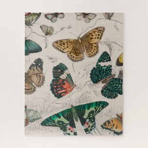 Puzzle Illustration de papillon antique : 1820 Orfèvre