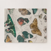Puzzle Illustration de papillon antique : 1820 Orfèvre (Horizontal)
