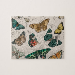 Puzzle Illustration de papillon antique : 1820 Orfèvre