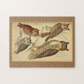 Puzzle Illustration de quatre hiboux (Horizontal)