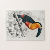Puzzle Illustration de toucan Ramphastos Impression d'art (Horizontal)