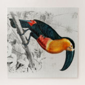 Puzzle Illustration de toucan Ramphastos Impression d'art (Horizontal)