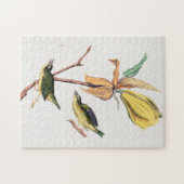 Puzzle Illustration des oiseaux de Paruline capturant des (Horizontal)