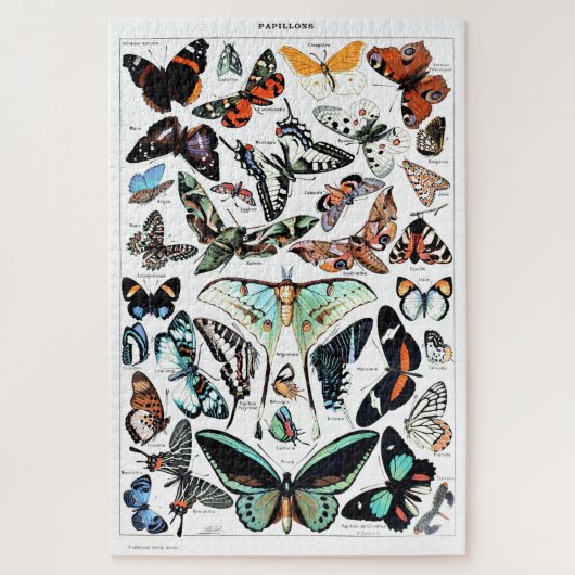 Puzzle Illustration des papillons Vintages (Vertical)