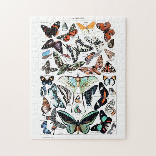 Puzzle Illustration des papillons Vintages (Vertical)