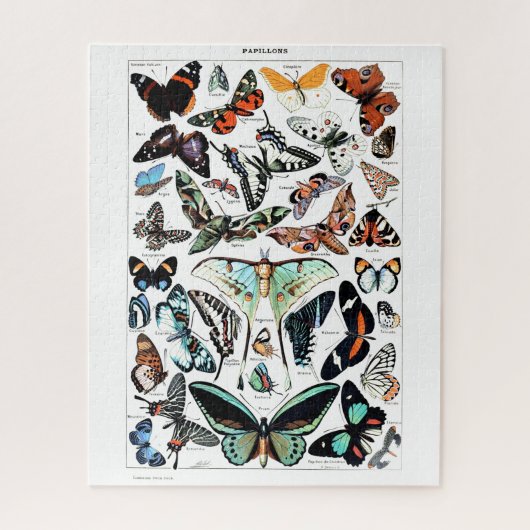 Puzzle Illustration des papillons Vintages (Vertical)